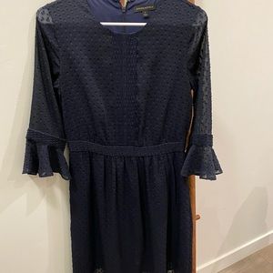 Banana Republic Blue Dot Dress
